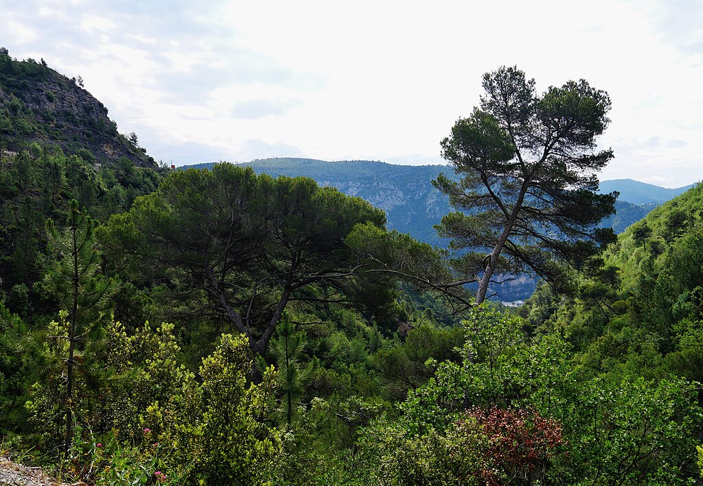 Fenêtre Alpes-Maritimes