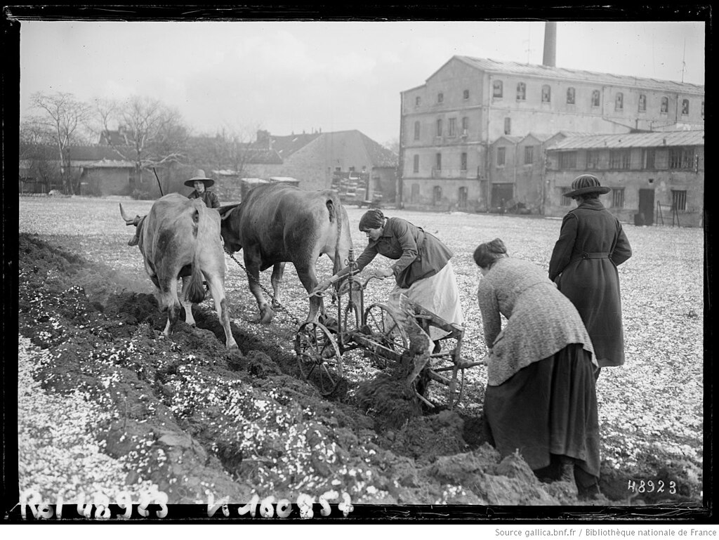Fenêtre Val-de-Marne