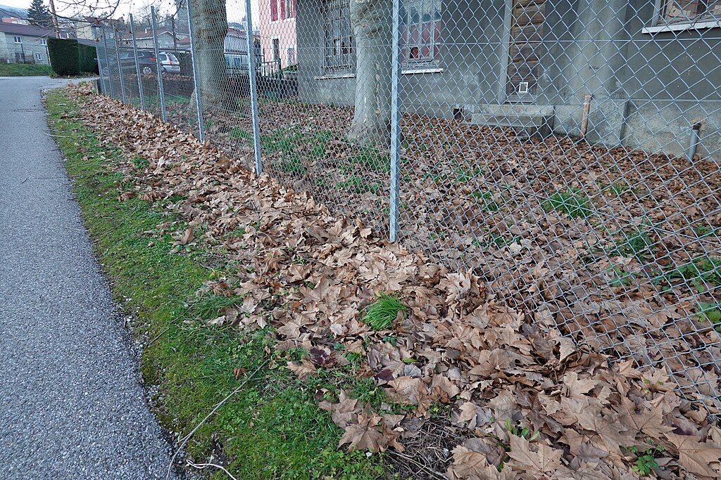 Fenêtre Bellegarde-sur-Valserine